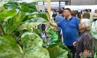 广州：市民周末“打卡”亚洲花卉博览会，尽享悠闲时光