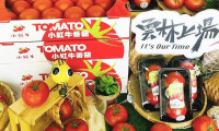 台食展参展商展示多元产品协同发展中心