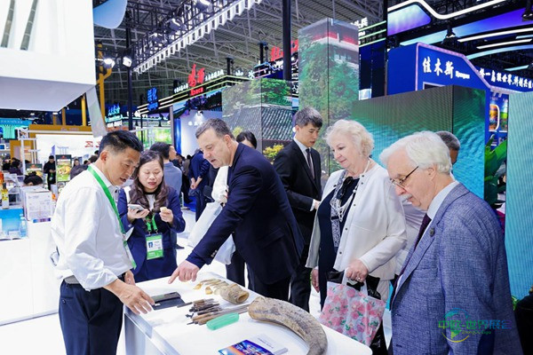 展馆现场。重庆市商务委供图