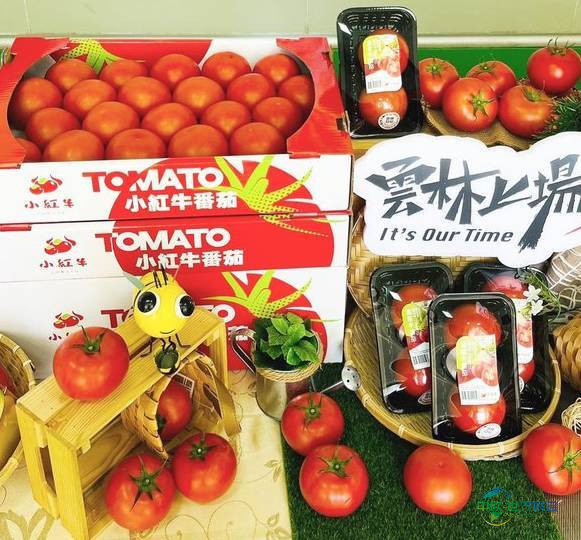 2025年中国台北市国际海峡两岸食品展览会:汇聚全球美食商机