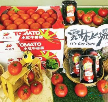 中国台北市国际海峡两岸食品展览会:台中农业局携“台中鲜”品牌亮相海峡两岸食品展览会