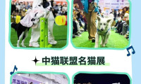为期三天！宠物展览会即将在长春拉开帷幕！