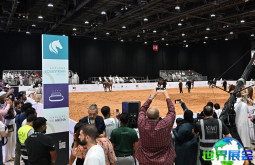 2026年中东阿布扎比狩猎、马术、枪械与刀具展览会(ADIHEX)的参展理由