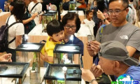 香港优质宠物用品展参展商名单