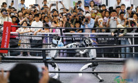 2026全球智能产业博览会公众开放日启动(3)