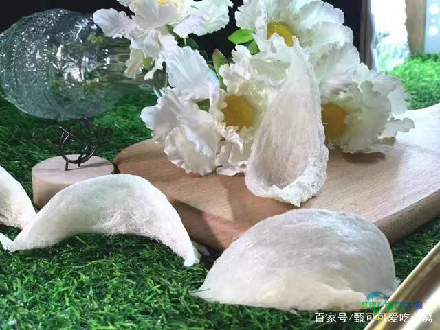 沪上聚力,燕启新篇 ——2026第九届上海燕博会全球招商盛大启动
