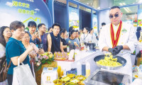 阳台菜园催生千亿级新兴市场——第二十届中国武汉农业博览会观察