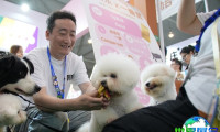 2026年成都宠博会（TOPS）观众预登记现已启动，精彩内容即将呈现！
