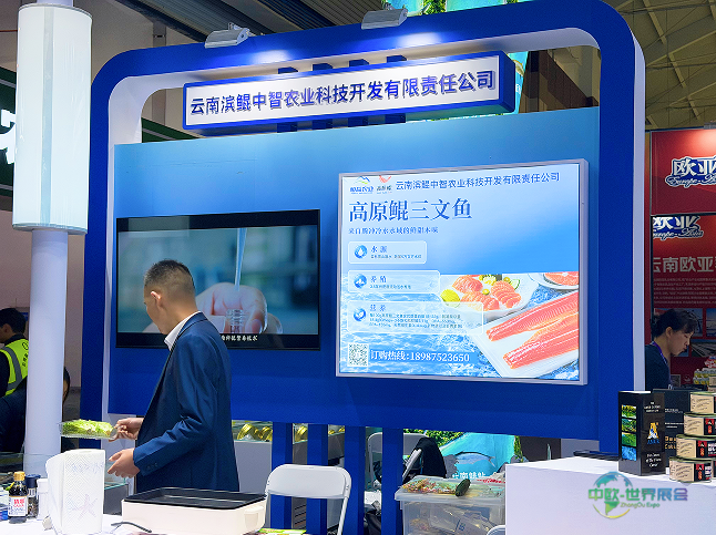 QQ_1781491723557.png