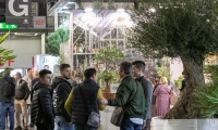 中东迪拜花卉与园林景观展览会(Myplant &amp; Garden Middle East Green Expo)2026年参展指南