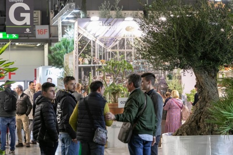 中东迪拜花卉与园林景观展览会展会现场图片
