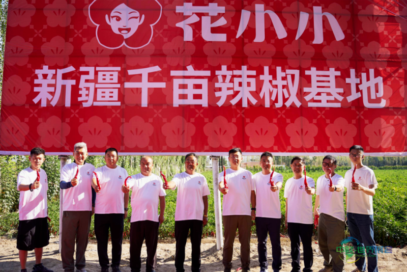491aa0d9-8cc8-4460-a3f1-587c6ec06737.png