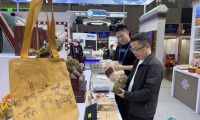 “象雄古韵”区域品牌亮相2026廊坊经洽会，助力高原经贸协同发展