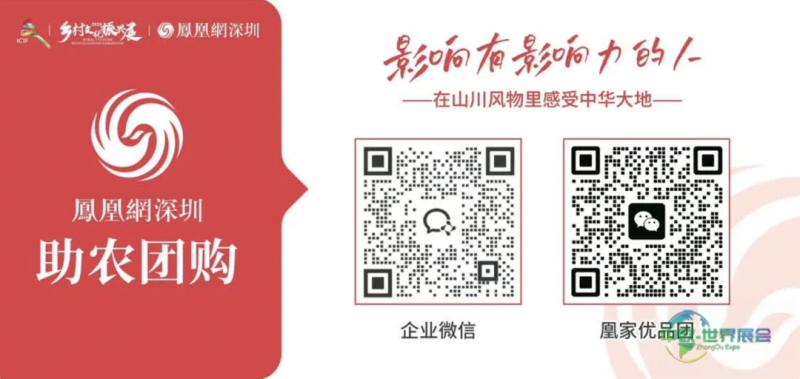 百日追梦扬帆远航!2026中国品牌出海博览会100天倒计时发布会成功举行