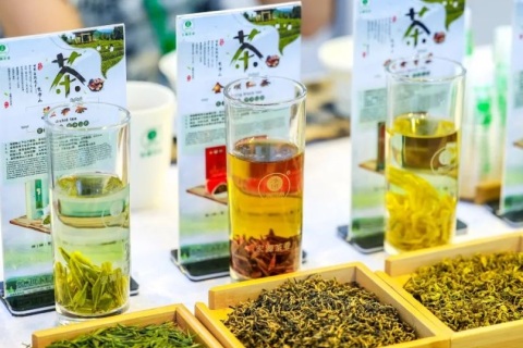 深圳茶博会-深圳国际秋季茶产业展展会现场图片