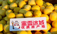 喜茶品牌标识成"细节找茬"游戏；蜜雪冰城为柠檬打造专属供应链中心；茶颜悦色进军海外，却不见茶饮身影……