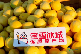 喜茶品牌标识成"细节找茬"游戏；蜜雪冰城为柠檬打造专属供应链中心；茶颜悦色进军海外，却不见茶饮身影……