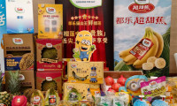进博倒计时百日冲刺：都乐亮相招商路演，首批签约锁定第十届盛会