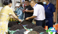 临沂茶博会(Linyi Tea Expo)2026年举办时间及场馆信息