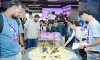 第十六届中国国际影视动漫版权保护与贸易博览会圆满收官