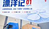 首批展品｜这个“庞然大物”正横跨重洋奔赴进博会