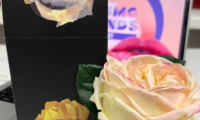 俄罗斯圣彼得堡国际专业化妆品及美容仪器展览会：AskMask携五大品牌亮相InterCHARM 2026