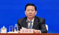 经中央纪委常委会会议审议并报请中央政治局会议批准,决定对王祥喜给予开除党籍处分;由国家监委对其作出开除公职处分