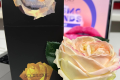 多姆·利蒙将亮相俄罗斯圣彼得堡国际专业化妆品及美容仪器展 InterCHARM 2026