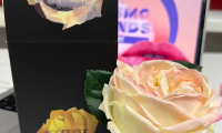 多姆·利蒙将亮相俄罗斯圣彼得堡国际专业化妆品及美容仪器展 InterCHARM 2026