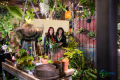 英国伦敦国际切尔西花卉展 RHS CHELSEA FLOWER SHOW 2027敬请关注