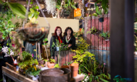 英国伦敦国际切尔西花卉展 RHS CHELSEA FLOWER SHOW 2027敬请关注