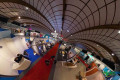 比利时莱布贝克国际兽医展上Expovet 2026将举办宠物兔疾病问题互动会议