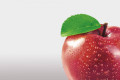 莫斯科食品加工配料展 Agroprodmash 2026制冷会议探讨有效解决方案